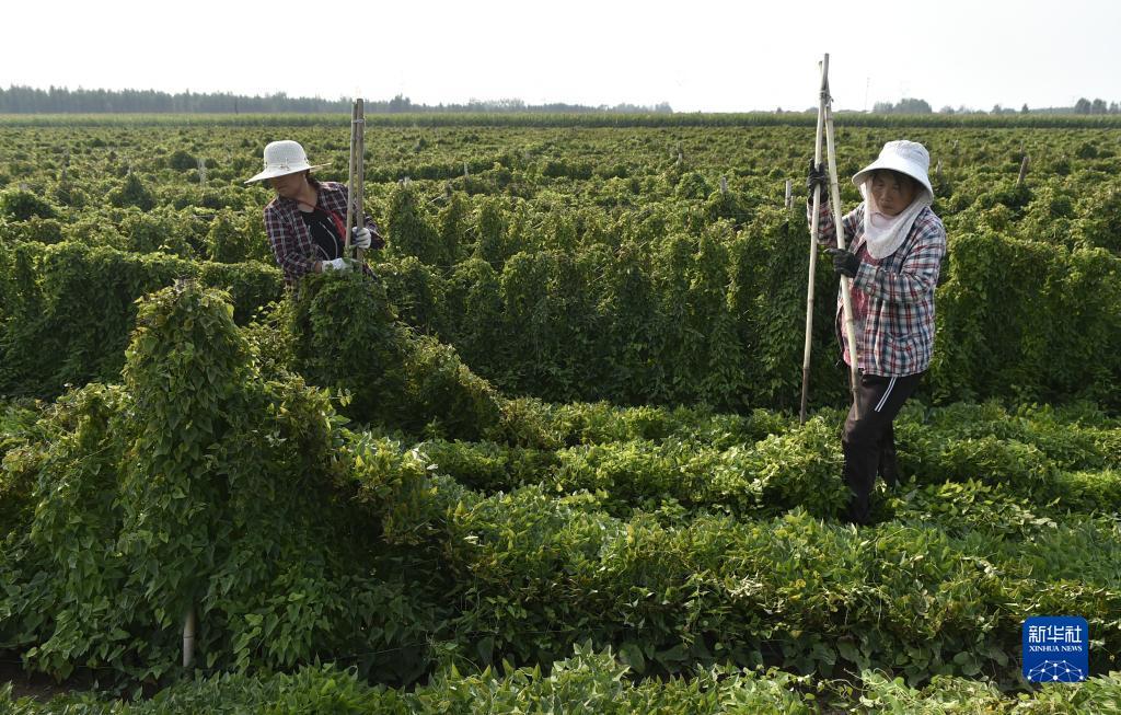 奔驰宝马登录网址